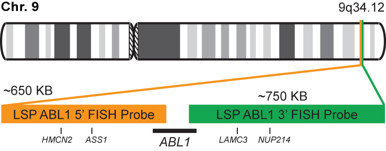 ABL1 Break Apart FISH Probe Kit 