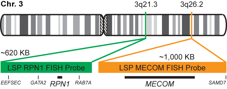 RPN1-MECOM Dual Fusion/Translocation FISH Probe Kit