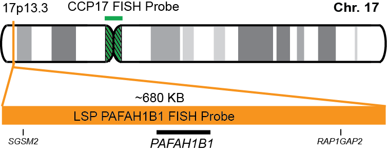 PAFAH1B1/CCP17 FISH Probe Kit