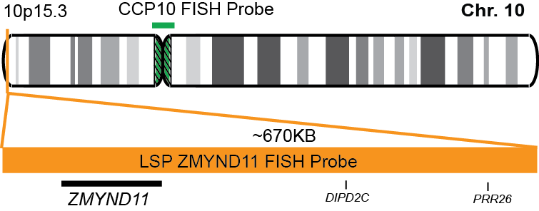 ZMYND11/CCP10 FISH Probe Kit