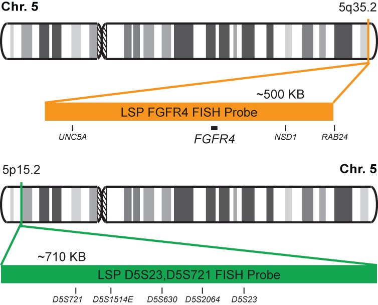 FGFR4/D5S23, D5S721 FISH Probe Kit