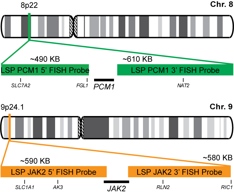 PCM1-JAK2 Dual Fusion/Translocation FISH Probe Kit 