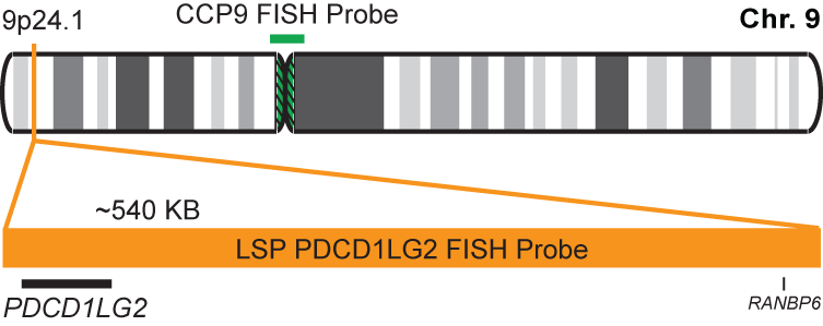 PDCD1LG2/CCP9 FISH Probe Kit 