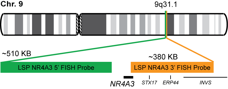 NR4A3 Break Apart FISH Probe Kit
