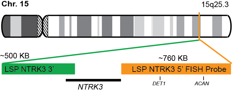 NTRK3 Break Apart FISH Probe Kit  