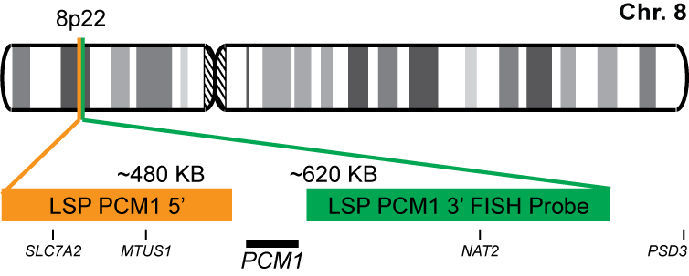 PCM1 Break Apart FISH Probe Kit 