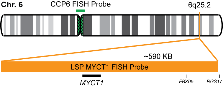MYCT1/CCP6 FISH Probe Kit  