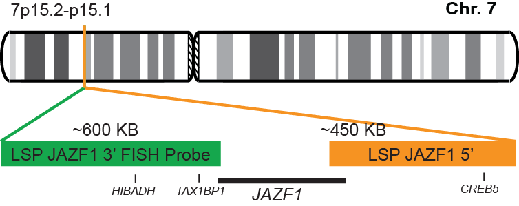 JAZF1 Break Apart FISH Probe Kit