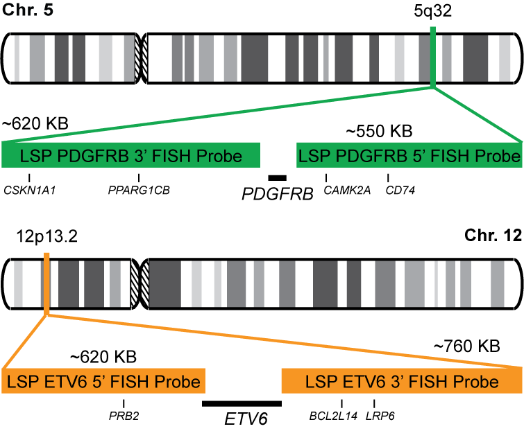 PDGFRB-ETV6 Dual Fusion/Translocation FISH Probe Kit