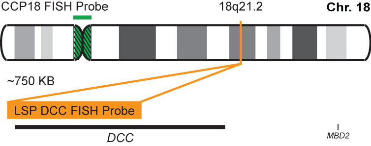 DCC/CCP18 FISH Probe Kit 