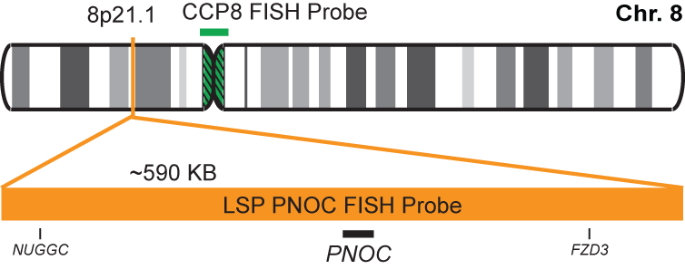 PNOC/CCP8 FISH Probe Kit 
